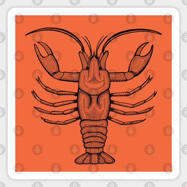 Crayfish or Mudbug Ink Art - cool animal design - on orange Magnet by Green Paladin